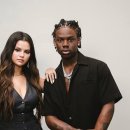 레마(REMA) 이미지