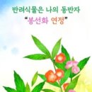 일산서구보건소치매안심센터 이미지