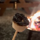 석장주유소 | [대구근교/합천/글램핑] 합천 h글램핑 후기(바베큐,무한리필,불멍)