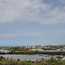 제주 올레길 16코스 이미지