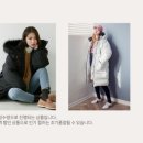 로코식스 이미지