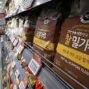 현대애견사료 이미지