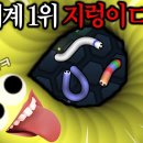 혜안 이미지