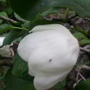 양각산장 이미지