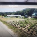 정동진 공인중개사사무소 이미지