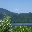 횡성 호수길 3구간 이미지