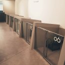 이든반려견 문화센터 이미지