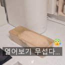 가정관리와친환경살림 | 가정용 음식물쓰레기 처리기 후기 미닉스 더 플렌더 MAX