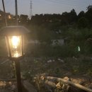 단이농장 이미지