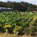 기흥2농장 이미지