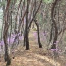 도전리 마을회관 이미지