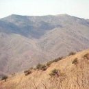 금호동산약국 이미지