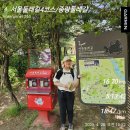 위치커피 중랑망우점 | 서울둘레길4코스 망우용마산 코스와함께 용마산정상 산행일지