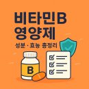 비타민B 영양제 성분·효능 완벽정리: 2025 최신 가이드