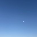 온화 스테이