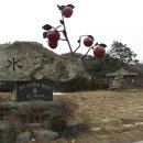 수분령주유소 이미지