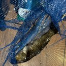 죠스실내낚시카페 | [ 경기 용인 ] 용인 신갈역 이색 데이트 코스 ‘ 죠스실내낚시카페 용인 신갈점 ’