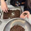 바리스타수업 | 천안커피학원 :: 바리스타 수업 후기