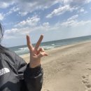 고캠프홈 이미지