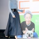 도그데이즈 이미지