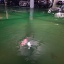 웅천부영2차아파트 이미지