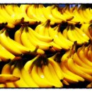 드림 메디케어 이미지