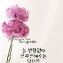 보라빛엽서 / 설운도 이미지