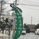 대영건어물 | 여행 3박4일 일정 2일차[동화가든-순두부젤라또-346카페-강문해변-아르떼뮤지엄강릉-중앙시장-대영유통]