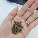 정한의원 | [정비환] 김해 정한의원 식욕억제환 내돈내산 복용 후기