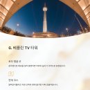 페스티벌오브라이츠