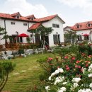 강천산 힐링가 이미지