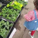 우일농장 이미지