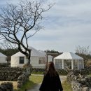 도야지마을 | 제주 스타빌 글램핑 유르트 이색 숙소 숙박 바베큐 조식 후기