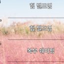 모브핏(Mauve Fit) 이미지