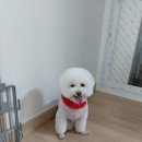 명광행정사무소