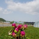 늘봄농장 이미지