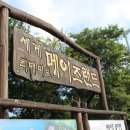 메이즈랜드 네이버블로그