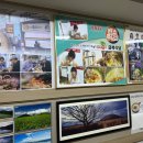 동문전통시장 이미지