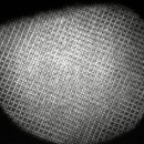 주식회사바이오나노테크놀로지 이미지