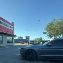 (주)문화주유소 | 호주 워홀(6) - 벌써 2주가 다 되어간다