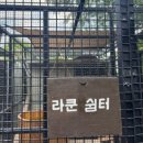 (주)수달앤쥬 | 용인 실내동물원 수달앤쥬 후기｜아이랑 가기 좋은 이색동물 체험 추천