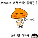 솔아재 네이버블로그