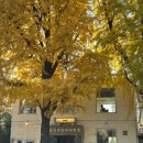 효자로-L 이미지