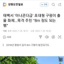 “아나콘다인 줄” 태백서 초대형 구렁이 출몰 이미지