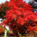 대상동경로당 이미지