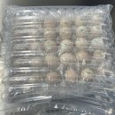 올래농장 | 자연방사 1번 유정란 올래농장 오골계란 후기