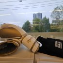 더프리미엄복싱 신정점 이미지