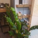 바다옆닭장 이미지