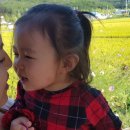 강동로5-93 이미지