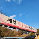 세연한우암소전문점 | 🥩 세연 한우암소 전문점